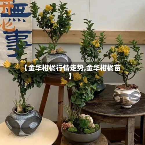 【金华柑橘行情走势,金华柑橘苗】