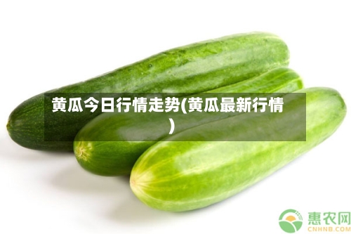 黄瓜今日行情走势(黄瓜最新行情)-第2张图片