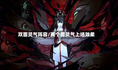 双面灵气阵容/两个面灵气上场效果