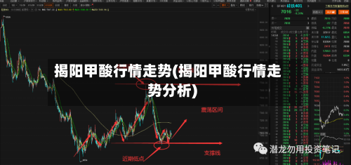 揭阳甲酸行情走势(揭阳甲酸行情走势分析)