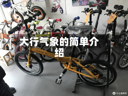 大行气象的简单介绍