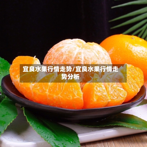 宜良水果行情走势/宜良水果行情走势分析