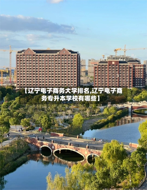 【辽宁电子商务大学排名,辽宁电子商务专升本学校有哪些】