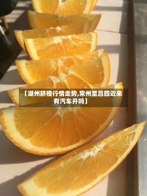 【湖州脐橙行情走势,常州至吕四近来有汽车开吗】-第3张图片