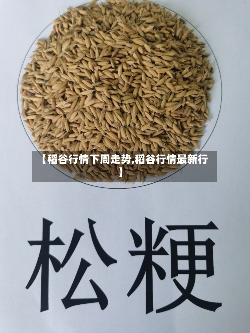 【稻谷行情下周走势,稻谷行情最新行】