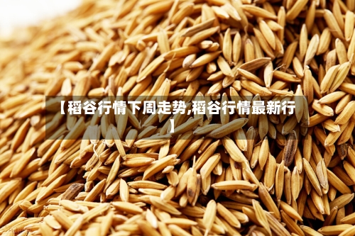 【稻谷行情下周走势,稻谷行情最新行】-第2张图片
