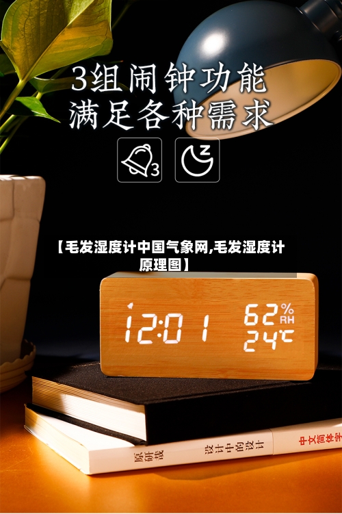 【毛发湿度计中国气象网,毛发湿度计原理图】-第2张图片