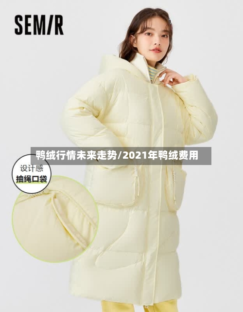 鸭绒行情未来走势/2021年鸭绒费用