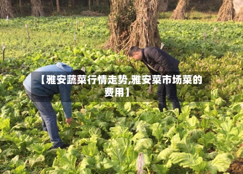 【雅安蔬菜行情走势,雅安菜市场菜的费用】