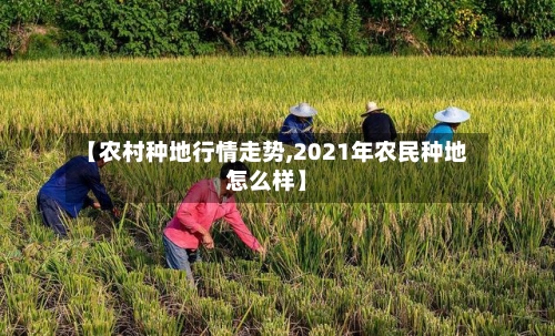 【农村种地行情走势,2021年农民种地怎么样】