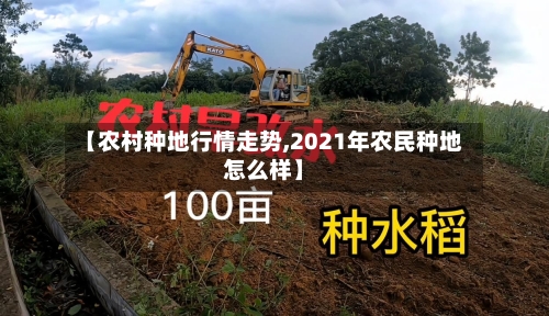【农村种地行情走势,2021年农民种地怎么样】-第2张图片