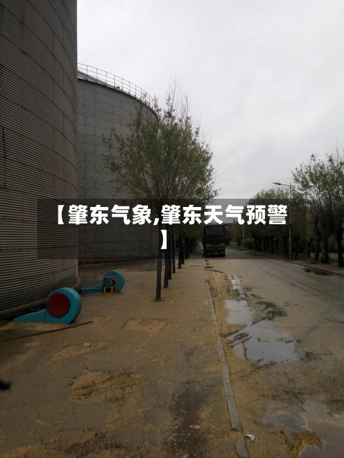 【肇东气象,肇东天气预警】