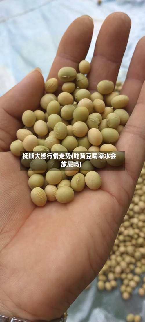 抚顺大熊行情走势(吃黄豆喝凉水会放屁吗)-第3张图片