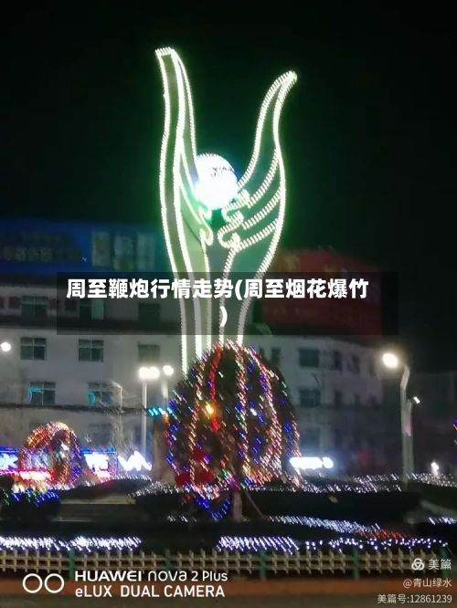 周至鞭炮行情走势(周至烟花爆竹)