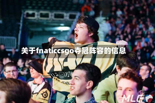 关于fnaticcsgo夺冠阵容的信息