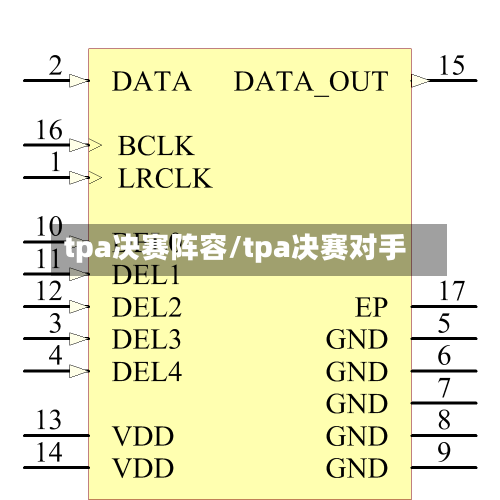 tpa决赛阵容/tpa决赛对手-第2张图片
