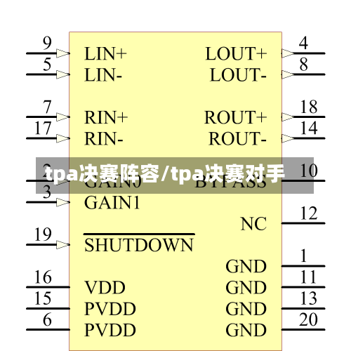 tpa决赛阵容/tpa决赛对手