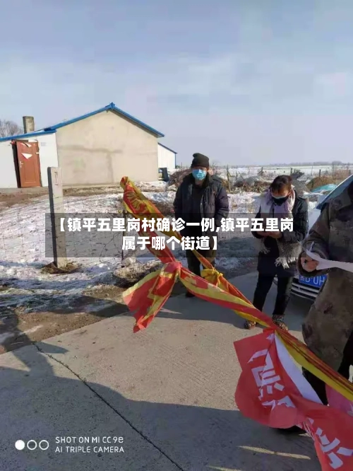【镇平五里岗村确诊一例,镇平五里岗属于哪个街道】-第3张图片