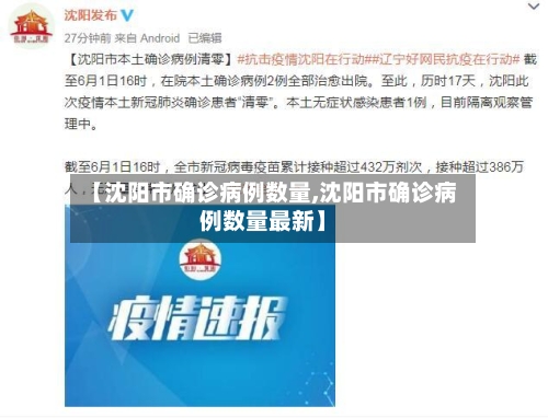 【沈阳市确诊病例数量,沈阳市确诊病例数量最新】-第2张图片