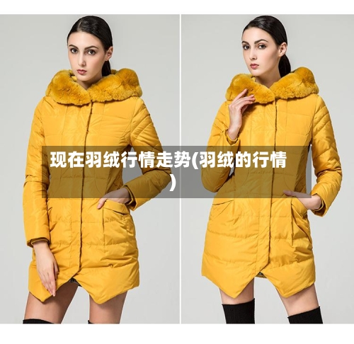 现在羽绒行情走势(羽绒的行情)-第2张图片