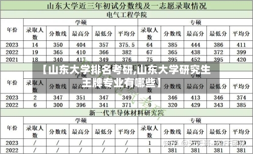 【山东大学排名考研,山东大学研究生王牌专业有哪些】