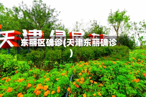 东丽区确诊(天津东丽确诊)-第3张图片