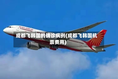 成都飞韩国的确诊病例(成都飞韩国机票费用)