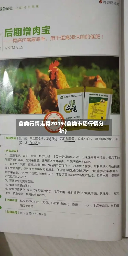 禽类行情走势2019(禽类市场行情分析)