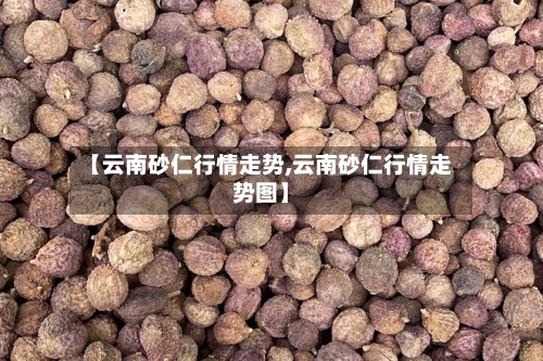 【云南砂仁行情走势,云南砂仁行情走势图】