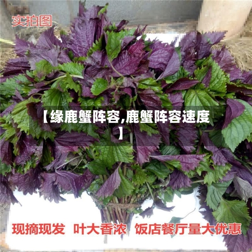 【缘鹿蟹阵容,鹿蟹阵容速度】-第2张图片