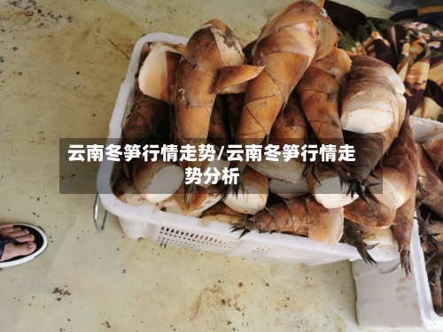 云南冬笋行情走势/云南冬笋行情走势分析