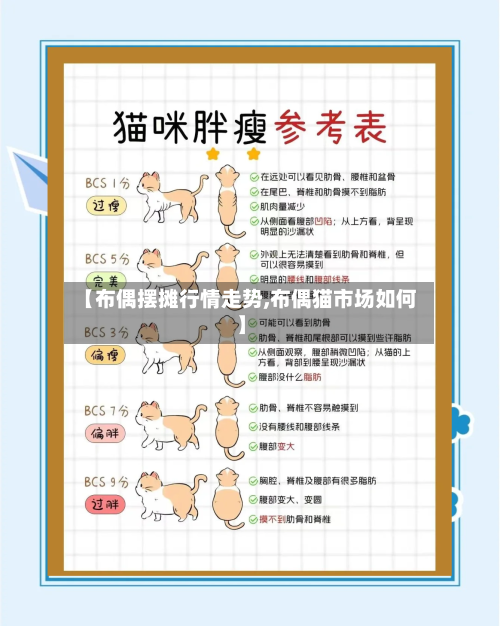 【布偶摆摊行情走势,布偶猫市场如何】