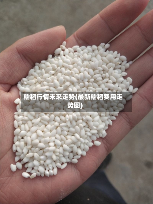 糯稻行情未来走势(最新糯稻费用走势图)