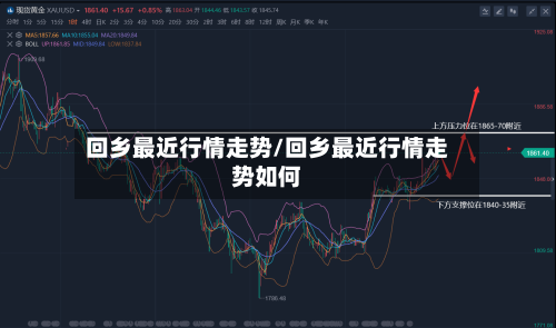 回乡最近行情走势/回乡最近行情走势如何-第2张图片