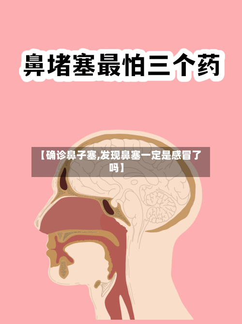 【确诊鼻子塞,发现鼻塞一定是感冒了吗】-第2张图片