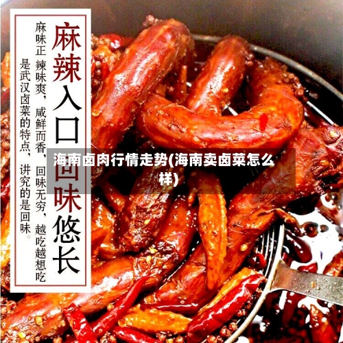 海南卤肉行情走势(海南卖卤菜怎么样)