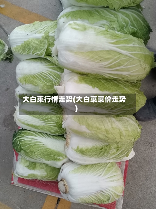 大白莱行情走势(大白菜菜价走势)