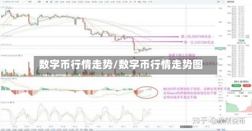 数字币行情走势/数字币行情走势图-第2张图片