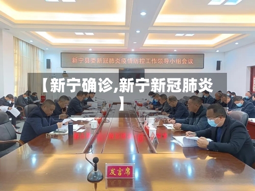 【新宁确诊,新宁新冠肺炎】