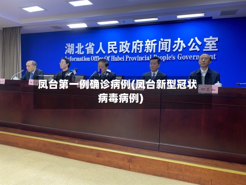 凤台第一例确诊病例(凤台新型冠状病毒病例)-第2张图片