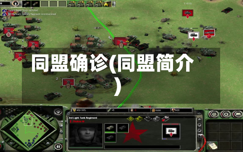 同盟确诊(同盟简介)-第3张图片