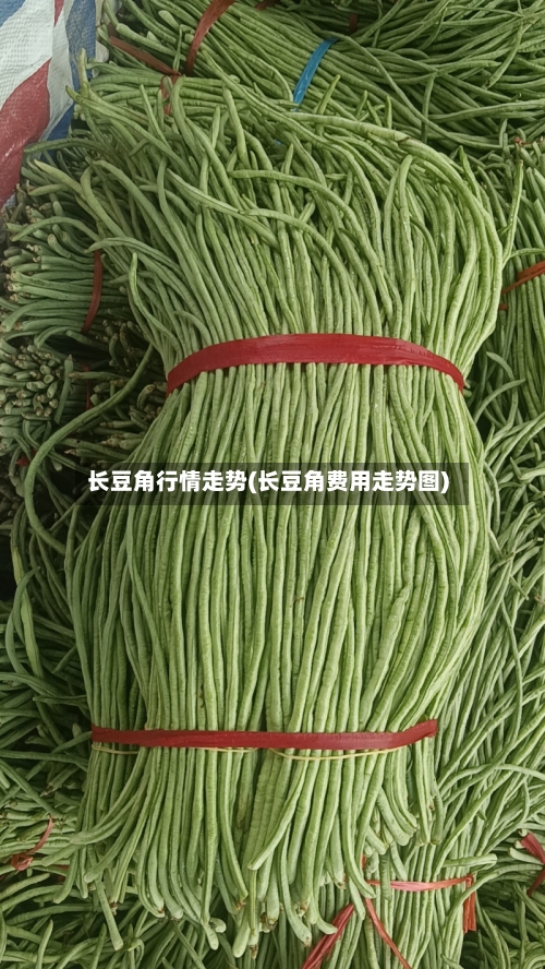 长豆角行情走势(长豆角费用走势图)