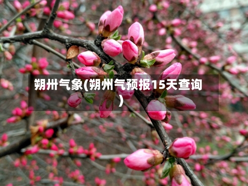 朔卅气象(朔州气预报15天查询)-第2张图片