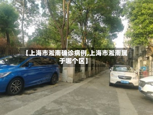 【上海市淞南确诊病例,上海市淞南属于哪个区】
