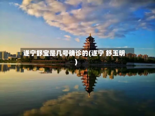 遂宁舒宝是几号确诊的(遂宁 舒玉明)-第3张图片