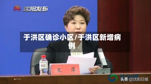 于洪区确诊小区/于洪区新增病例