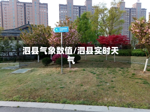 泗县气象数值/泗县实时天气