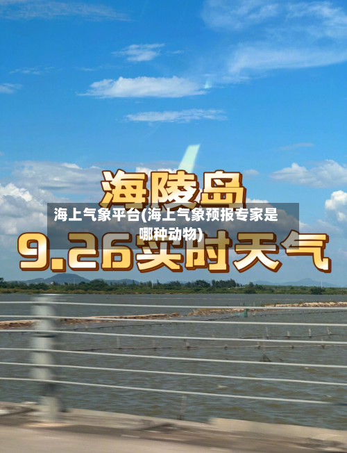 海上气象平台(海上气象预报专家是哪种动物)-第2张图片