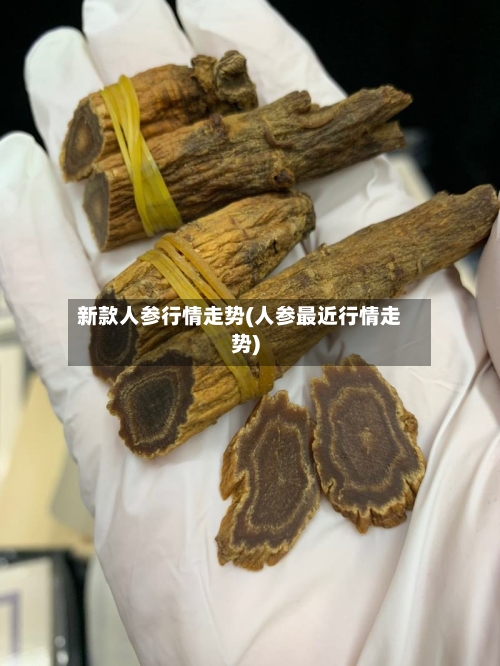 新款人参行情走势(人参最近行情走势)