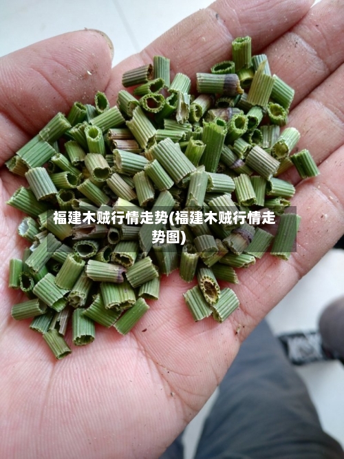 福建木贼行情走势(福建木贼行情走势图)-第2张图片